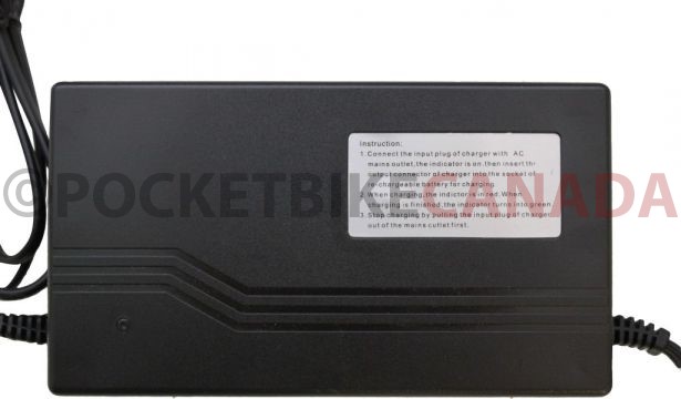 Charger_ _60V_2A_C13_Plug_3
