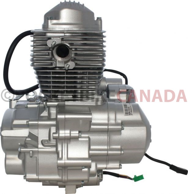 Complete_Engine_ _Vertical_150cc_Engine_Manual_Shift_Electric Kick_Start_6