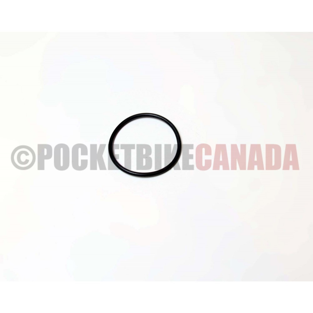 Fuel Pump Seal O-Ring for Ranger 600cc UTV Side by Side ROV - G8020004