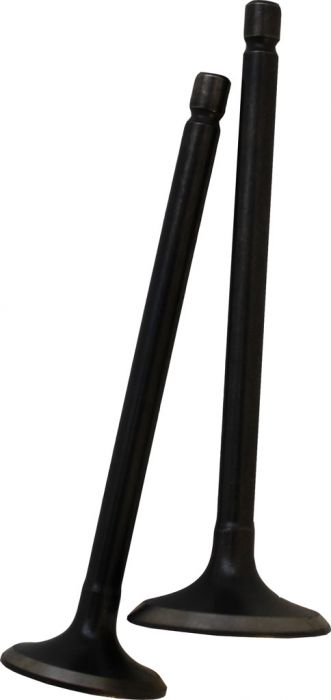 Intake and Exhaust Valve - 150cc - 20A2515 - PBC1548F1