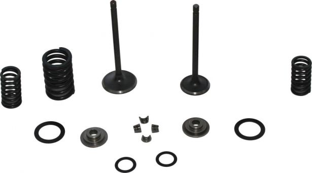 Valve Assembly - 200cc - 20A2010 - PBC1553F1