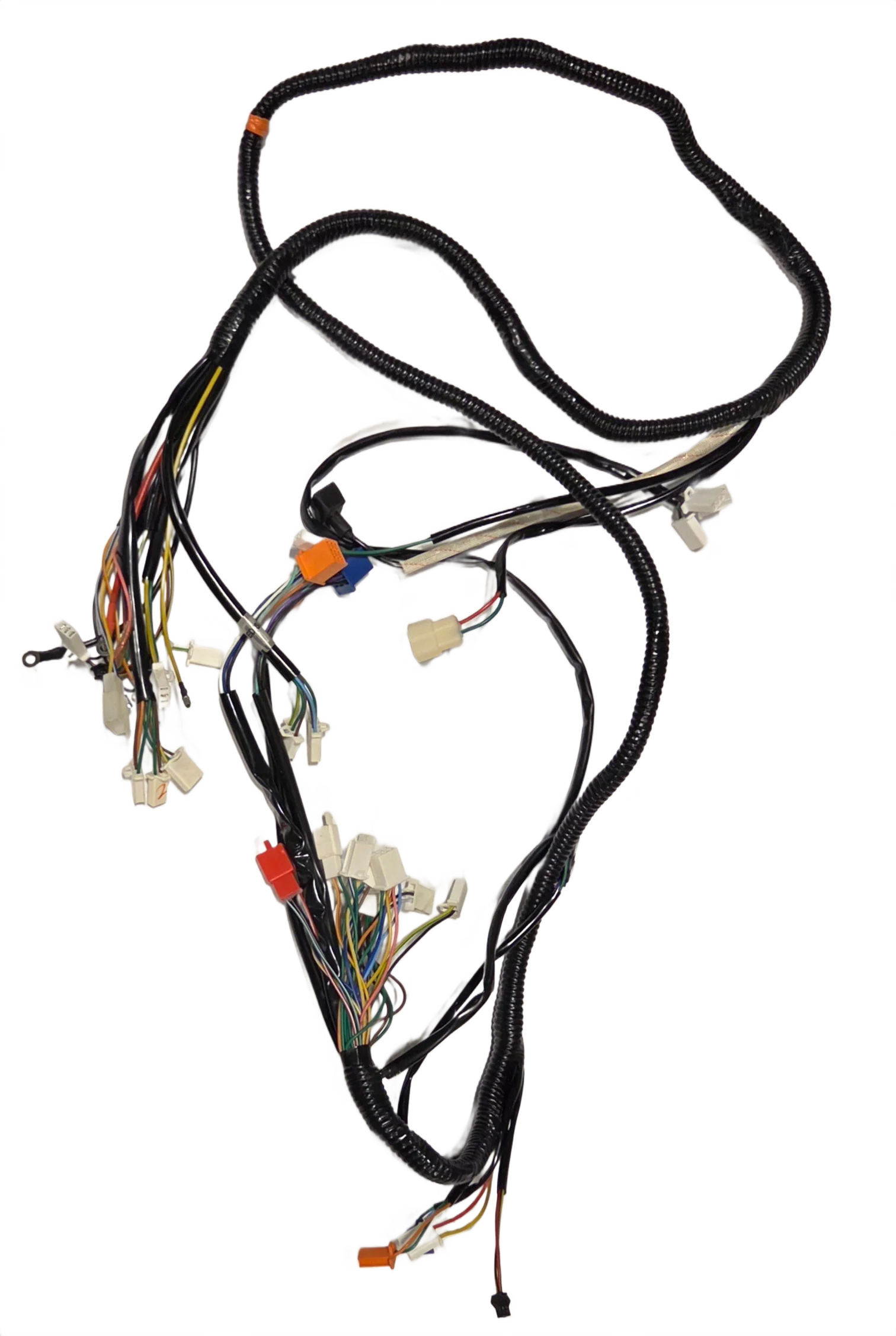Tessa Wire harness