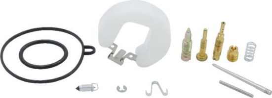 Carburetor Rebuild Kit - Carburetor Repair Kit, 22mm, PZ22  - PBC5489FF1