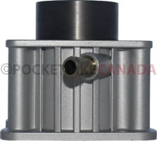 Cylinder Block - 200cc, Liquid Cooled - 20A8265 - PBC1629F1