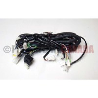 G8010025
