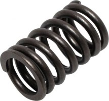 Valve Spring - XY1100, Chironex 1000cc, 1100cc - 20A2192 - PBC1686F1