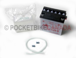 Storage Battery 12v/9aH for 150cc/200cc 808 Monster/809 Beast  ATV Quad 4-Stroke - G1070005