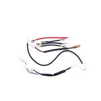 Manteray Wire Harness - PBC150XL