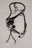 Regal PR Wire Harness