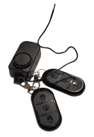 Wasp remote alarm
