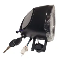 Wasp black instrument